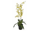 Orkidea, keltainen 100 cm SH-13606