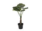 Vehkakasvi TARO 90 cm SH-13689