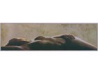 Taulu GIORGIO MARIANI 40x138 cm AL-16718
