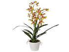 Koristekasvi ORHIDEE ONCIDIUM 85 cm SH-18022