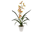 Koristekasvi ORHIDEE ONCIDIUM 75 cm SH-18023