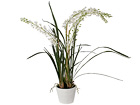 Koristekasvi ORHIDEE CYMBIDIUM 100 cm SH-18028