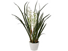 Koristekasvi ORHIDEE CYMBIDIUM 100 cm SH-18029