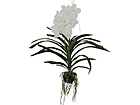 Koristekasvi ORKIDEA 70 cm SH-18037