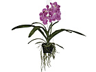 Koristekasvi ORKIDEA 46 cm SH-18041