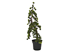 M&auml;kim&auml;nty 90 cm SH-20532