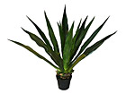 Agaave 125 cm SH-20539