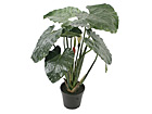 Viherkasvi 90 cm SH-20543