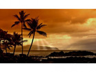 Taulu ROMANTIC SUNSET 89x50 cm NW-24255