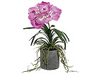 Violetti ORKIDEA SH-29278