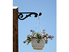 Ampellipidike ORNAMENT 3 RH-29442
