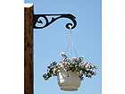 Ampellipidike ORNAMENT 1 RH-29448