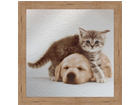 Taulu CHILDREN - CAT AND DOG 16x16 cm OG-37709