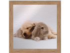 Taulu CHILDREN - THE DOG AND RABBIT 16x16 cm OG-37711