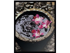 Taulu MODERN - ORCHIDS 40x50 cm OG-37966