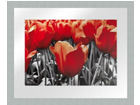 Taulu MODERN - RED TULIPS1 20x25 cm OG-37971