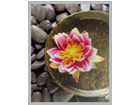 Taulu MODERN - PINK FLOWER 20x25 cm OG-37972