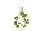 Kukkaruukku BOSKKE SKY PLANTER CERAMIC PG-38514