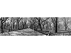 Taulu SLOW NEW YORK MINUTE 30x115 cm