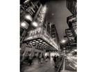 Taulu RADIO CITY HALL 40x50 cm