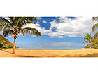 Taulu PARATIISIRANTA 30x73 cm