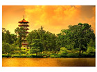 Taulu PAGODA 80x120 cm