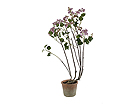 Sireeni 105 cm SH-7115