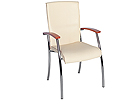 Asiakastuoli NIKO TT-7238