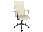 Ty&ouml;tuoli NIKO TT-7241
