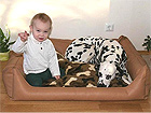 Koiranpeti 100x80 cm OL-8542