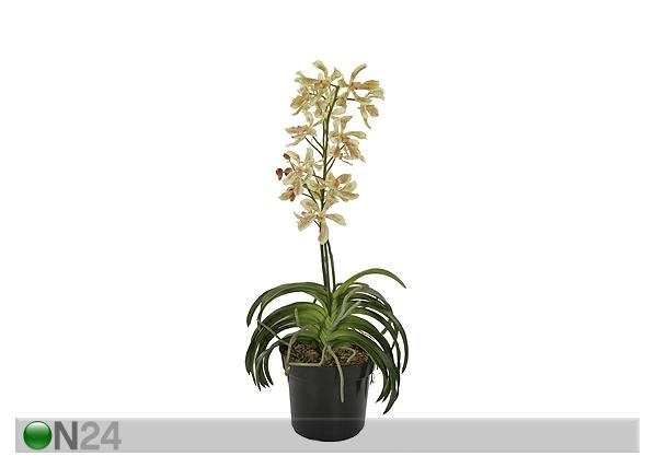 Orkidea, keltainen 85 cm SH-13602