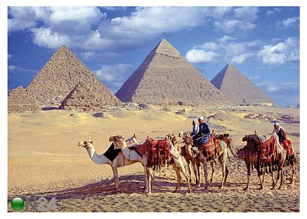 Palapeli EGYPTIN PYRAMIDIT 50x70 cm RO-19058