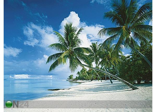 Palapeli BORA BORA 50x70 cm RO-19061