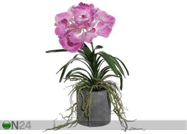 Violetti ORKIDEA SH-29278