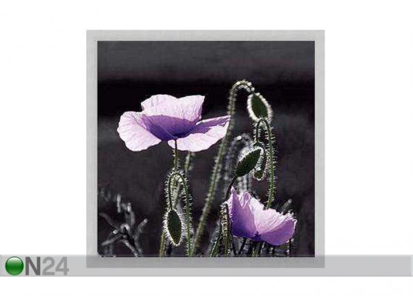 Taulu FLOWERS - PURPLE POPPIES3 33x33 cm OG-37983