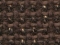 Tummanruskea 6