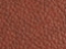 oxblood/7
