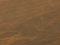tummanruksea petsi
