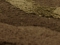 Chocolata