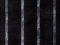 harmaa