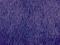 Jaguar 2 violet