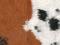Furtex Cow 919/1