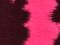 Pink Cow 100/19