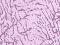 violetti, kuviollinen
