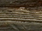 harmaa
