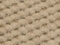 beige Astra