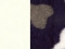 valkoinen CO55/ bones navy