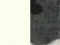 vakoinen / bones grey