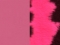 roosa CO65 / pink cow