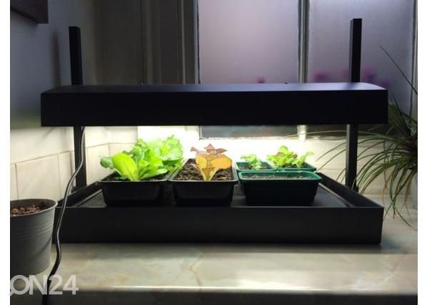 Esikasvatuslaatikko valaistuksella Micro Grow Light Garden 11 W, musta